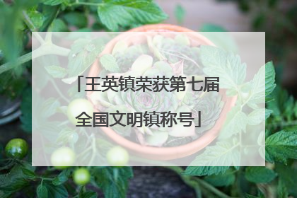 王英镇荣获第七届全国文明镇称号