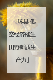 环县 低空经济催生田野新质生产力