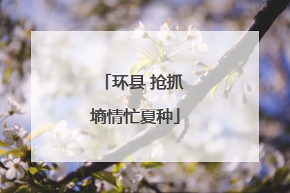 环县 抢抓墒情忙夏种