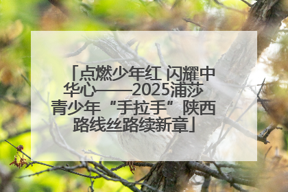 点燃少年红 闪耀中华心——2025浦莎青少年“手拉手”陕西路线丝路续新章