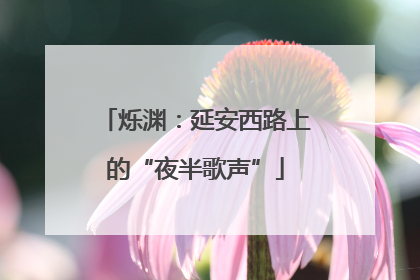 烁渊：延安西路上的“夜半歌声”