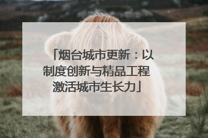 烟台城市更新：以制度创新与精品工程激活城市生长力
