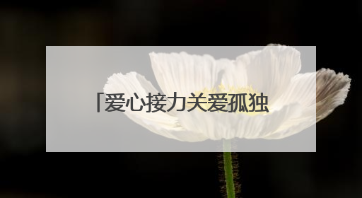 爱心接力关爱孤独症儿童 夏日温情点亮“星星”世界