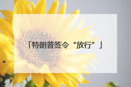 特朗普签令“放行”