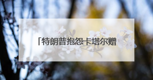 特朗普抱怨卡塔尔赠送的飞机“太大”，不适合做总统专机