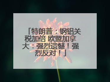 特朗普：钢铝关税加倍 欧盟加拿大：强烈遗憾！强烈反对！