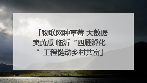 物联网种草莓 大数据卖黄瓜 临沂“四雁孵化”工程链动乡村共富