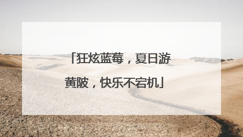 狂炫蓝莓，夏日游黄陂，快乐不宕机
