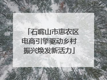 石嘴山市惠农区电商引擎驱动乡村振兴焕发新活力