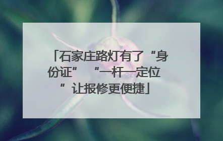 石家庄路灯有了“身份证” “一杆一定位”让报修更便捷