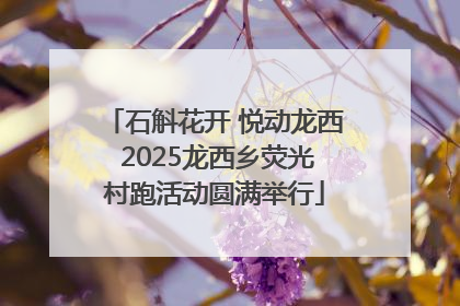 石斛花开 悦动龙西 2025龙西乡荧光村跑活动圆满举行