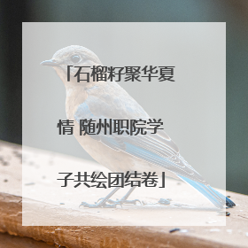 石榴籽聚华夏情 随州职院学子共绘团结卷