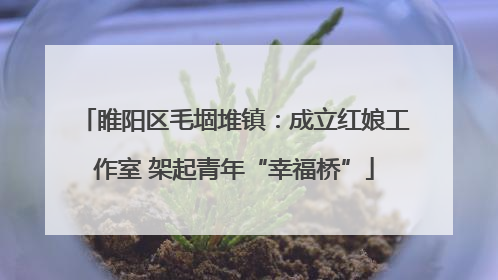 睢阳区毛堌堆镇：成立红娘工作室 架起青年“幸福桥”