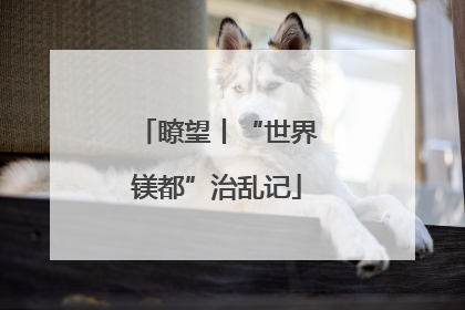 瞭望丨“世界镁都”治乱记
