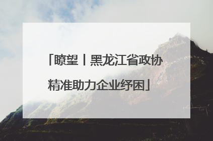 瞭望丨黑龙江省政协精准助力企业纾困