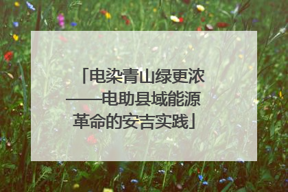 电染青山绿更浓——电助县域能源革命的安吉实践