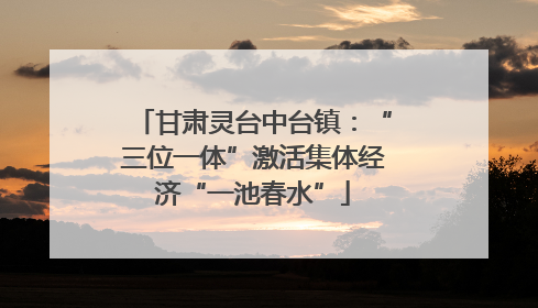 甘肃灵台中台镇：“三位一体”激活集体经济“一池春水”