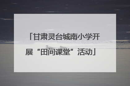 甘肃灵台城南小学开展“田间课堂”活动