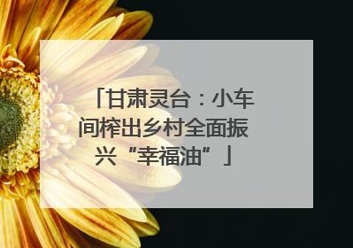 甘肃灵台：小车间榨出乡村全面振兴“幸福油”
