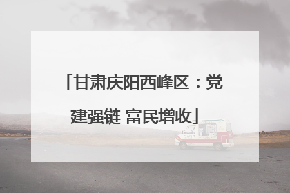 甘肃庆阳西峰区：党建强链 富民增收