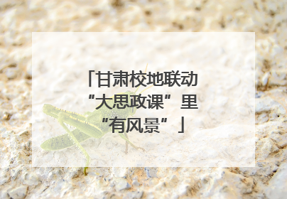 甘肃校地联动“大思政课”里“有风景”
