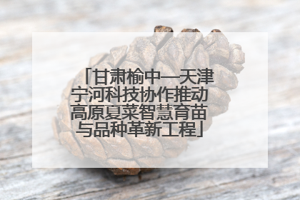 甘肃榆中—天津宁河科技协作推动高原夏菜智慧育苗与品种革新工程