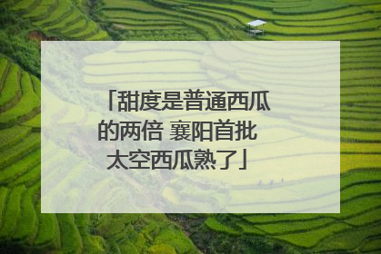 甜度是普通西瓜的两倍 襄阳首批太空西瓜熟了