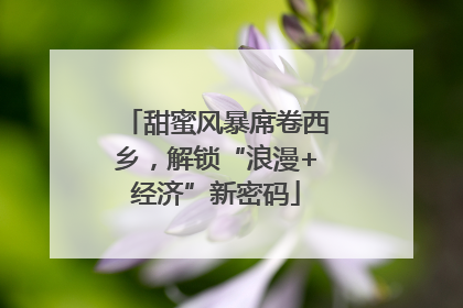 甜蜜风暴席卷西乡，解锁“浪漫+经济”新密码