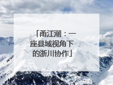甬江潮：一座县域视角下的浙川协作