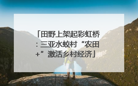 田野上架起彩虹桥：三亚水蛟村“农田+”激活乡村经济