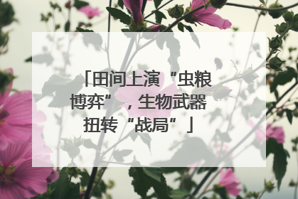 田间上演“虫粮博弈”，生物武器扭转“战局”