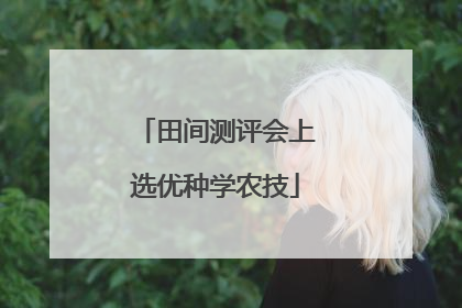 田间测评会上选优种学农技