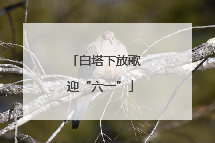 白塔下放歌迎“六一”