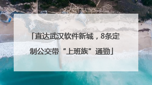 直达武汉软件新城，8条定制公交带“上班族”通勤