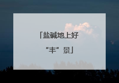 盐碱地上好“丰”景