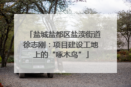 盐城盐都区盐渎街道徐志刚：项目建设工地上的“啄木鸟”