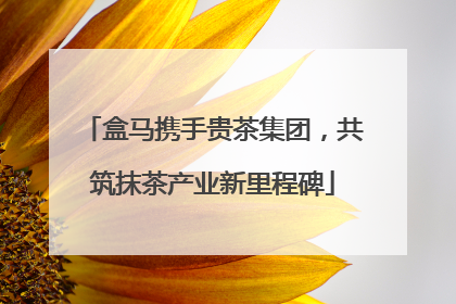 盒马携手贵茶集团，共筑抹茶产业新里程碑