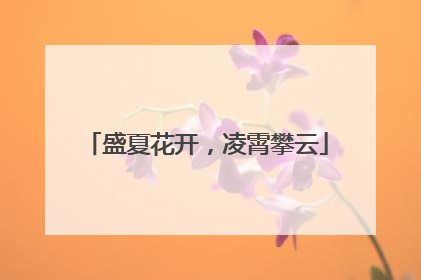 盛夏花开，凌霄攀云
