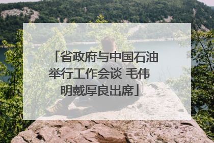 省政府与中国石油举行工作会谈 毛伟明戴厚良出席