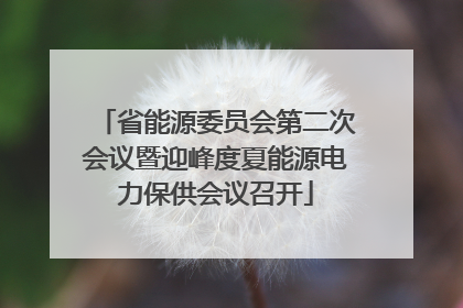 省能源委员会第二次会议暨迎峰度夏能源电力保供会议召开