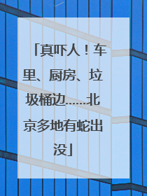 真吓人！车里、厨房、垃圾桶边……北京多地有蛇出没