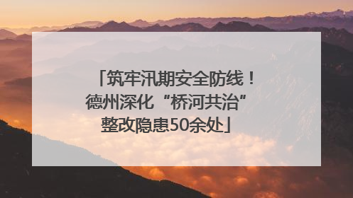 筑牢汛期安全防线！德州深化“桥河共治”整改隐患50余处