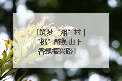筑梦“湘”村｜“桃”醉衡山下 香飘振兴路