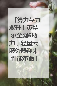 算力存力双升！英特尔至强6助力，轻量云服务器迎来性能革命