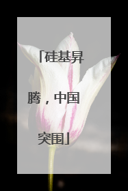 硅基昇腾，中国突围