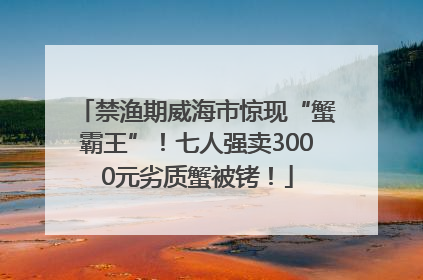 禁渔期威海市惊现“蟹霸王”！七人强卖3000元劣质蟹被铐！