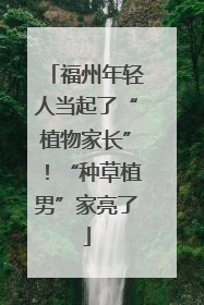 福州年轻人当起了“植物家长”！“种草植男”家亮了
