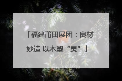 福建莆田展团：良材妙造 以木塑“灵”