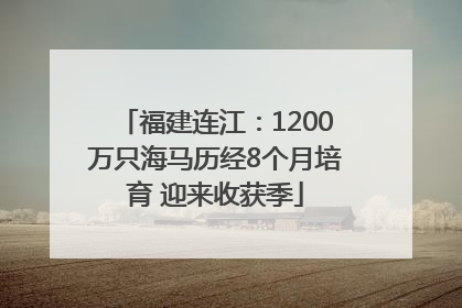 福建连江：1200万只海马历经8个月培育 迎来收获季