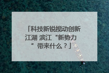 科技新锐搅动创新江湖 滨江“新势力”带来什么？